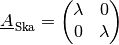 \underline{A}_{\mathrm{\,Ska}} = \begin{pmatrix}
    \lambda & 0 \\
    0 & \lambda
\end{pmatrix}