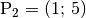 \mathrm{P}_2 = (1;\, 5)