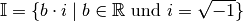 \mathbb{I} = \lbrace b \cdot i \; | \; b \in \mathbb{R} \text{ und } i =
\sqrt{-1} \rbrace