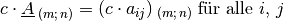 c \cdot \underline{A}_{\;(m;\,n)} = (c \cdot a_{ij} )_{\;(m;\,n)} \;
\text{für alle $i,\,j$}