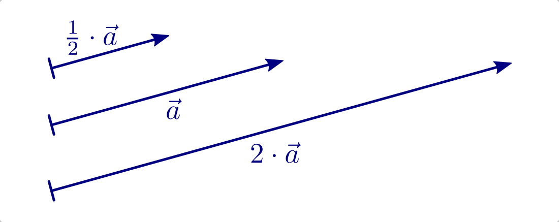 fig-vektor-produkt-mit-skalar