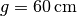 g = \unit[60]{cm}